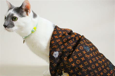 louis vuitton cat clothes|louis vuitton catogram.